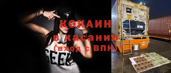 хмурый Алзамай