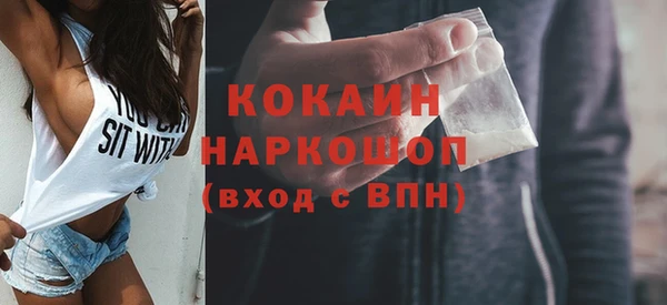 хмурый Алзамай