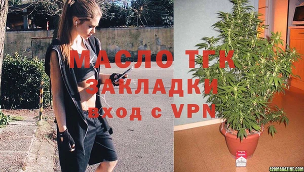 шишки Абаза