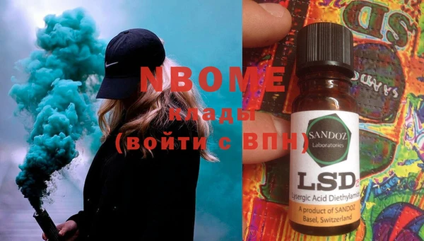 шишки Абаза