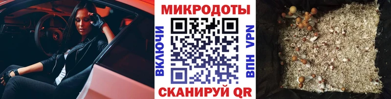 Галлюциногенные грибы Psilocybine cubensis  omg ONION  Артём 